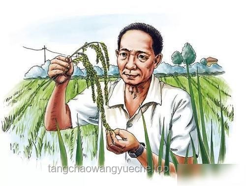 “禾下乘凉梦”的传承与实践：缅怀与致敬袁隆平爷爷